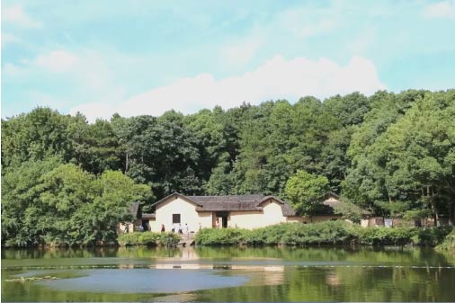 韶山红色培训基地,韶山干部培训